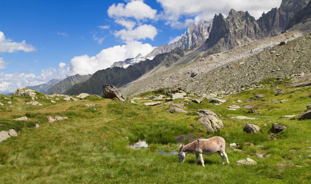 Nos premières vacances en famille à la montagne ! - Les enfants de Peau  d'âne