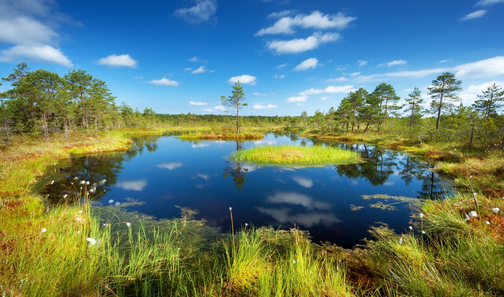 Voyage lettonie Pays Baltes l'ambre de légende Découverte