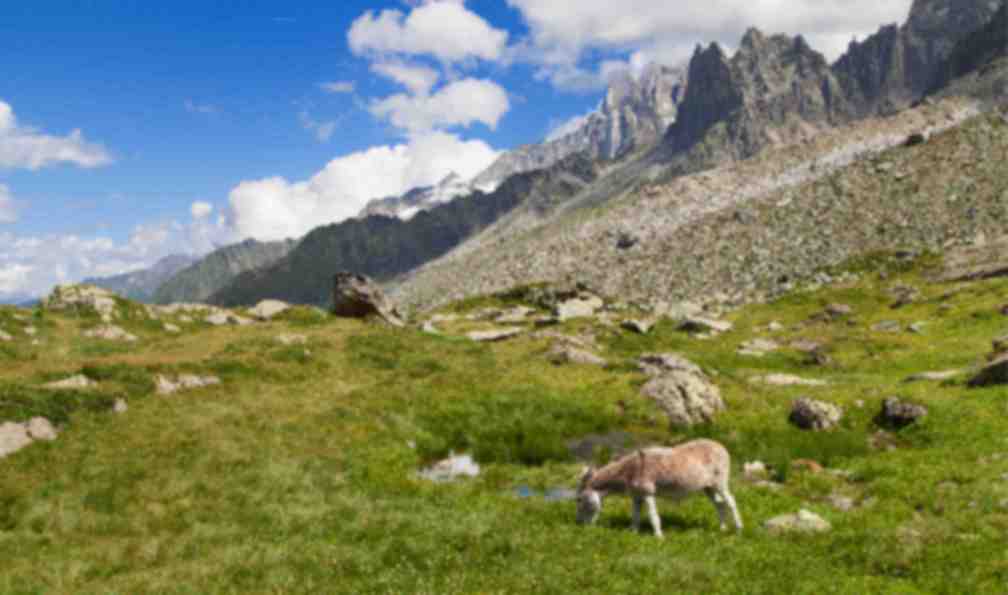 alpes-italiennes-tour-du-mont-blanc-en-famille