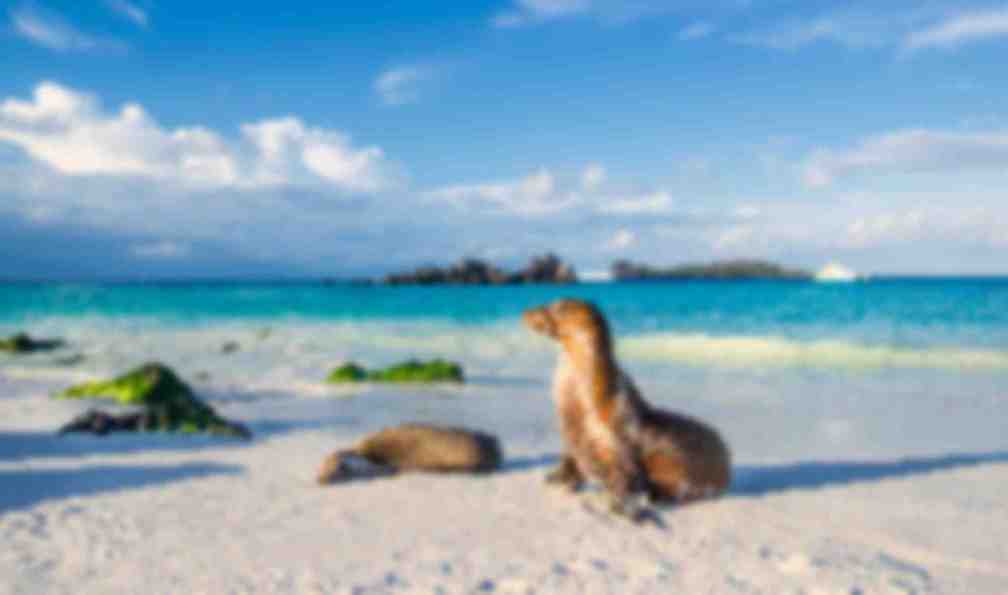 galapagos-circuit-decouverte-galapagos