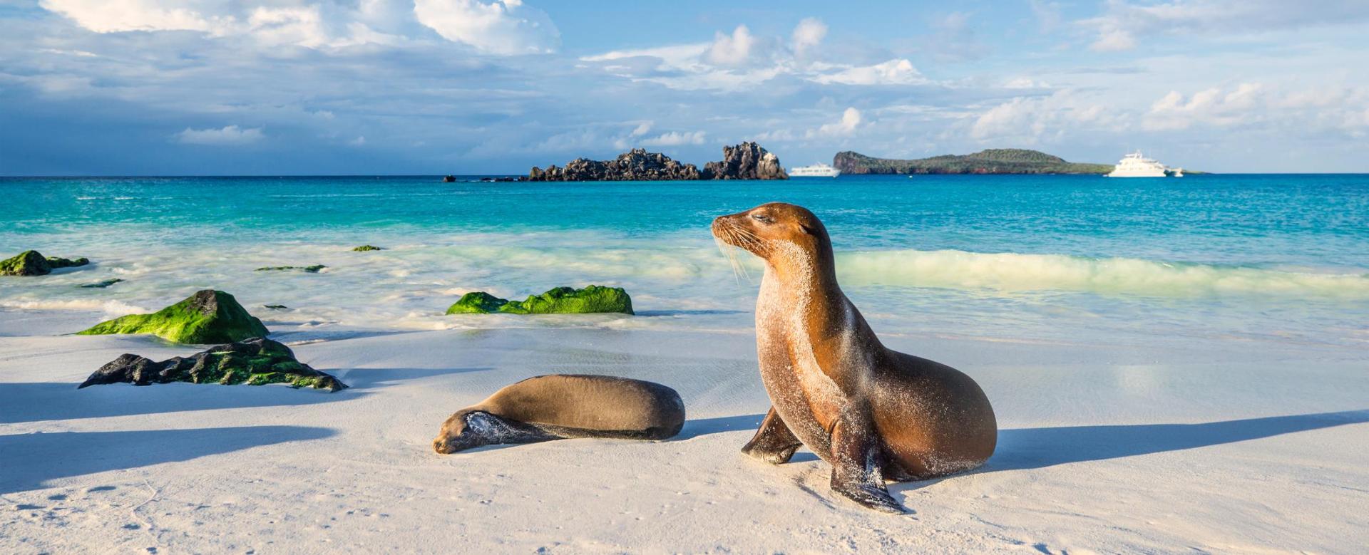 cap-sur-les-galapagos