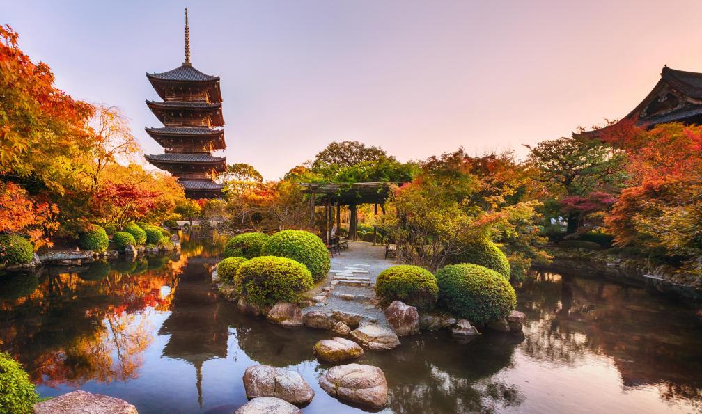 Hora - Nataliya - Adobe stock - Ancienne pagode en bois du temple Toji dans le jardin d'automne, Kyoto, Japon - Randonnées zen au Japon japon-randonnee-japon