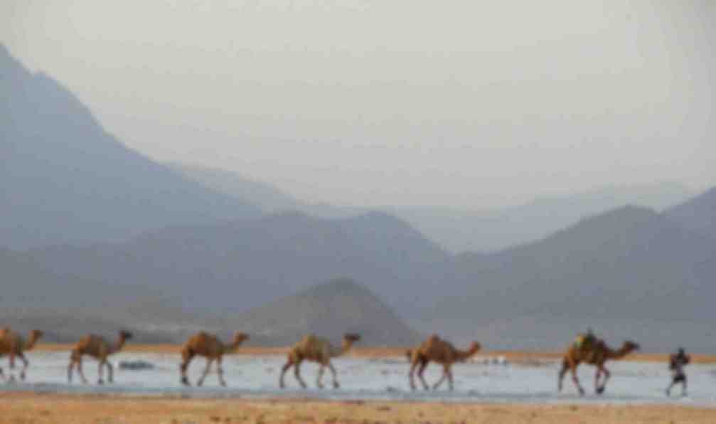 voyages djibouti