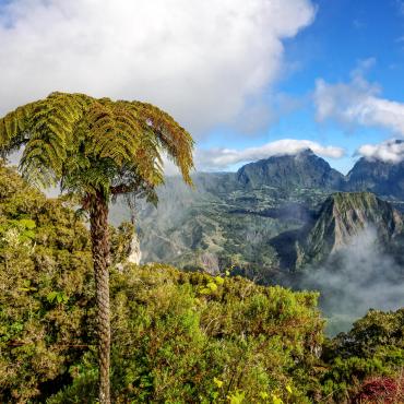 randonnée piton des neiges