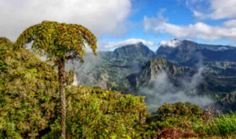 la-reunion-randonnee-piton-des-neiges