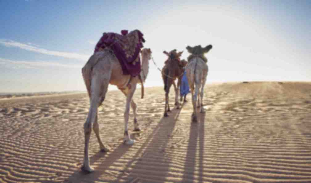 mauritanie-sahara-mauritanie