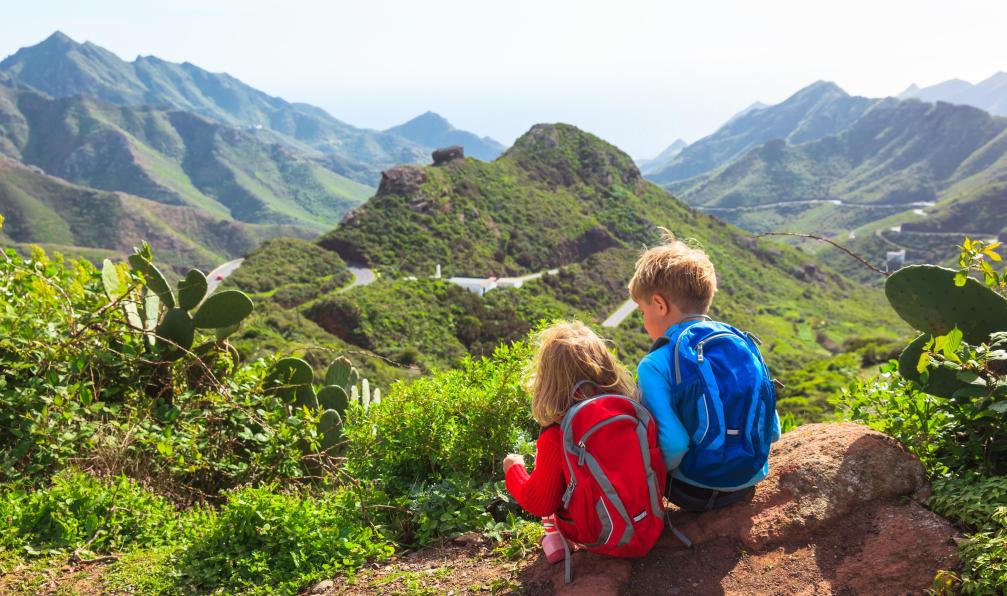 canaries-canaries-en-famille