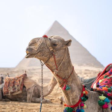découverte felouque et pyramides