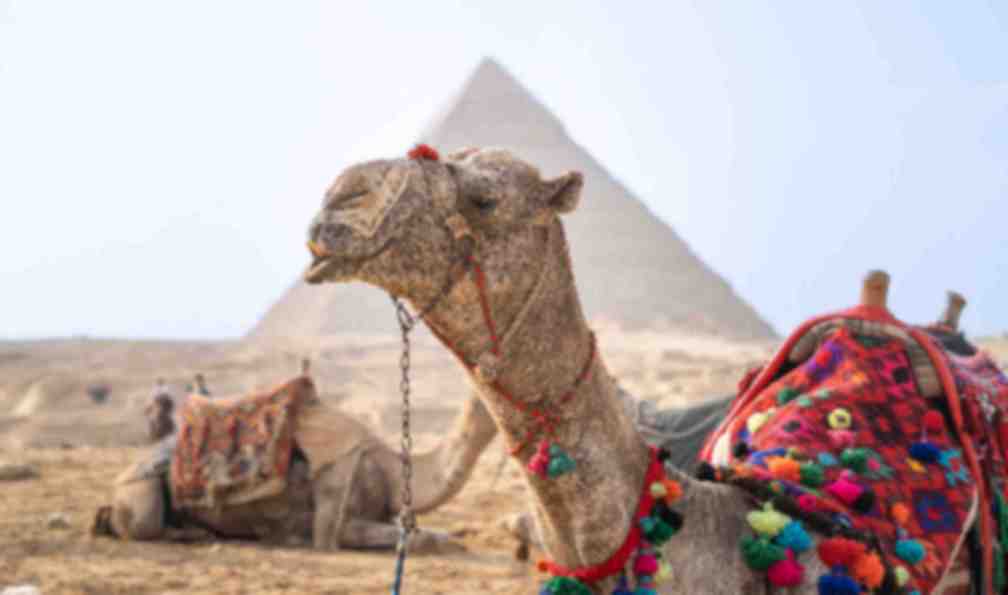 egypte-decouverte-felouque-et-pyramides