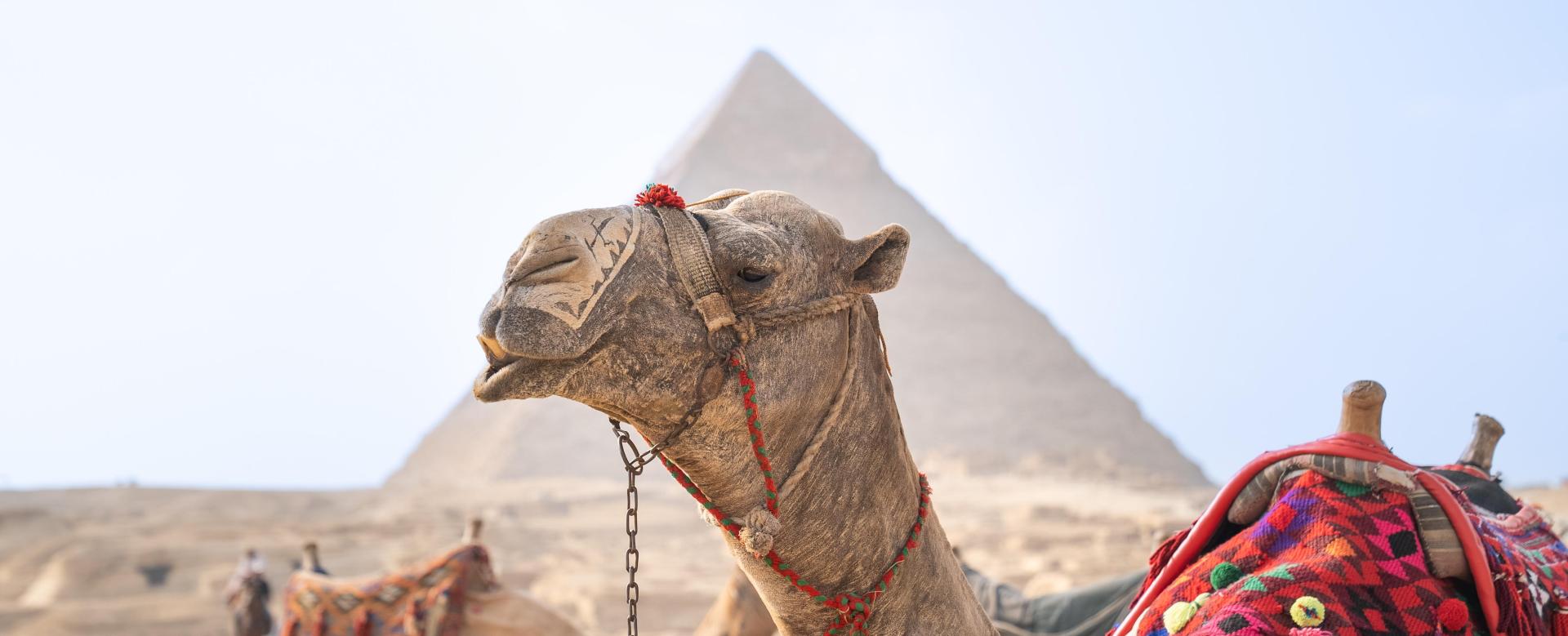 les-secrets-du-nil-du-caire-a-louxor
