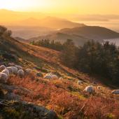 découverte pays basque
