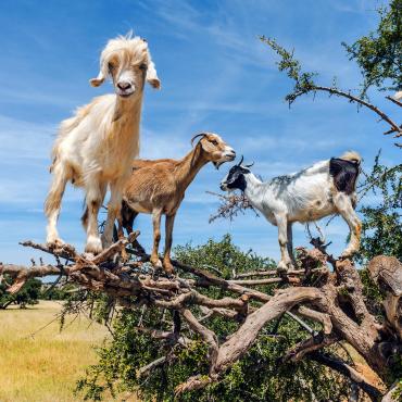 randonnée maroc en famille