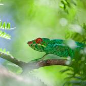 voyage en famille la réunion