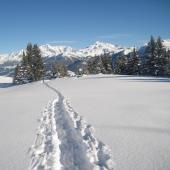 raquettes beaufortain