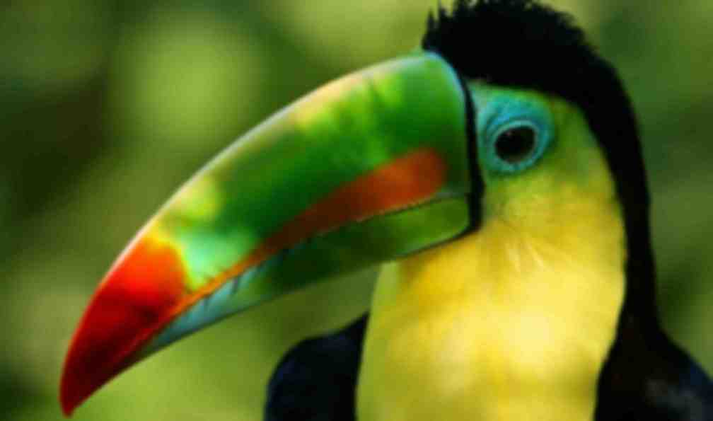 voyage trek costa rica