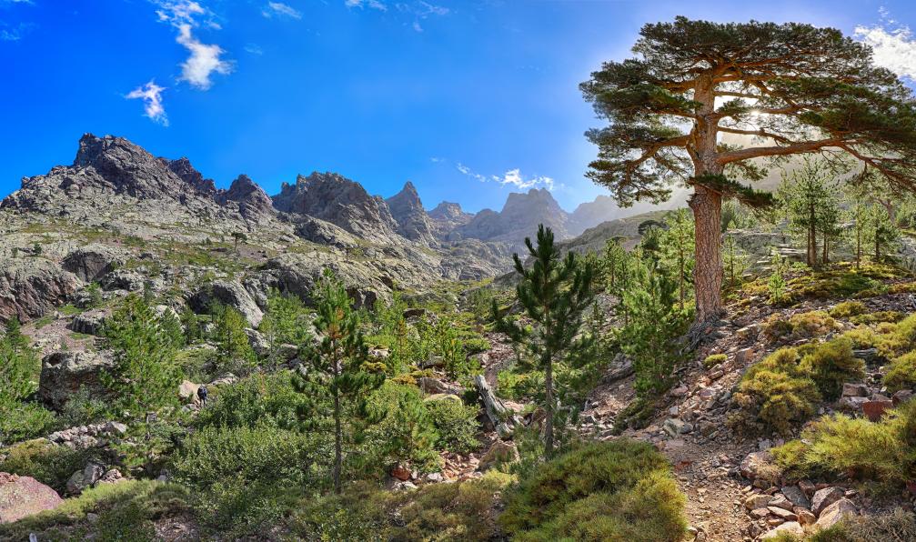 istock - Randonnée sur le GR20, Corse, France - Le GR20 sud en liberté corse-randonnee-en-corse-du-sud