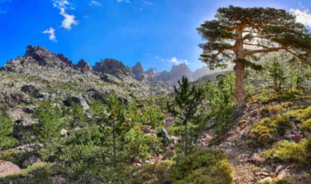 corse-randonnee-en-corse-du-sud