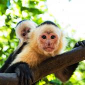 voyage en famille costa rica
