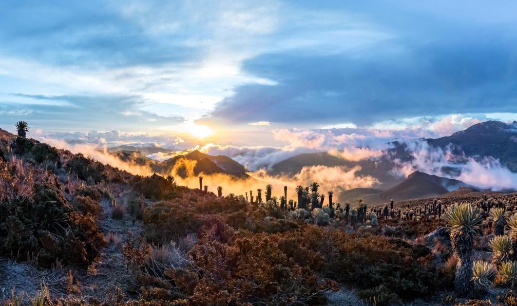 colombie-trek-colombie