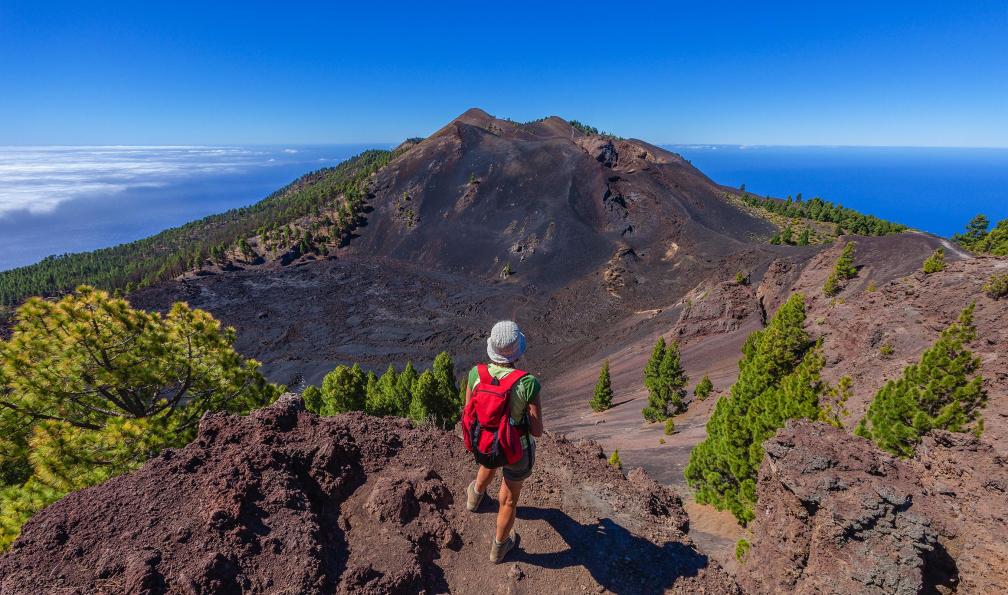 argalis - Istock - La Palma, Canaries. - La Palma, La Gomera et Tenerife canaries-circuit-palma-gomera-tenerife