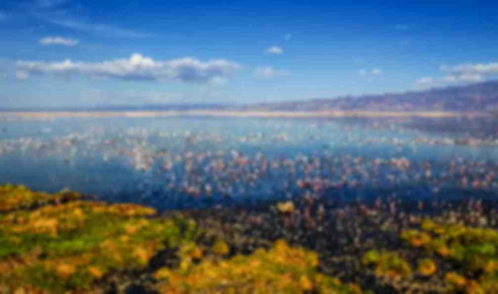 tanzanie-parc-tanzanie