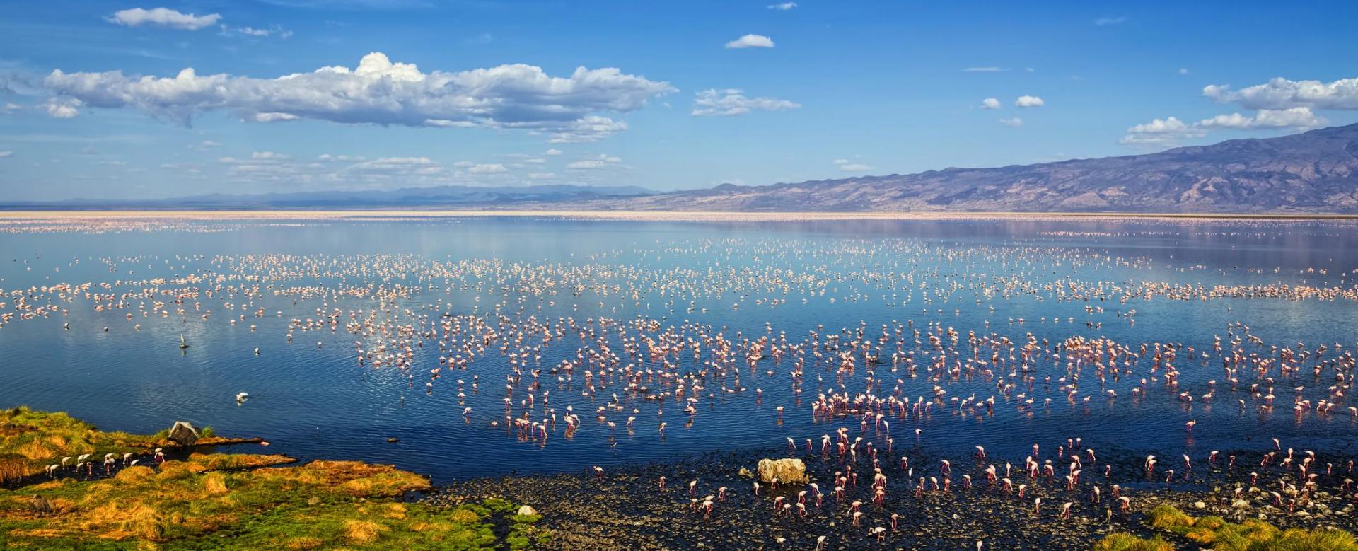 safaris-mythiques-et-lac-natron-lodge