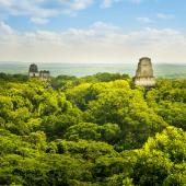 © THPStock - istock - Parc national du Tikal, Guatemala trek guatemala