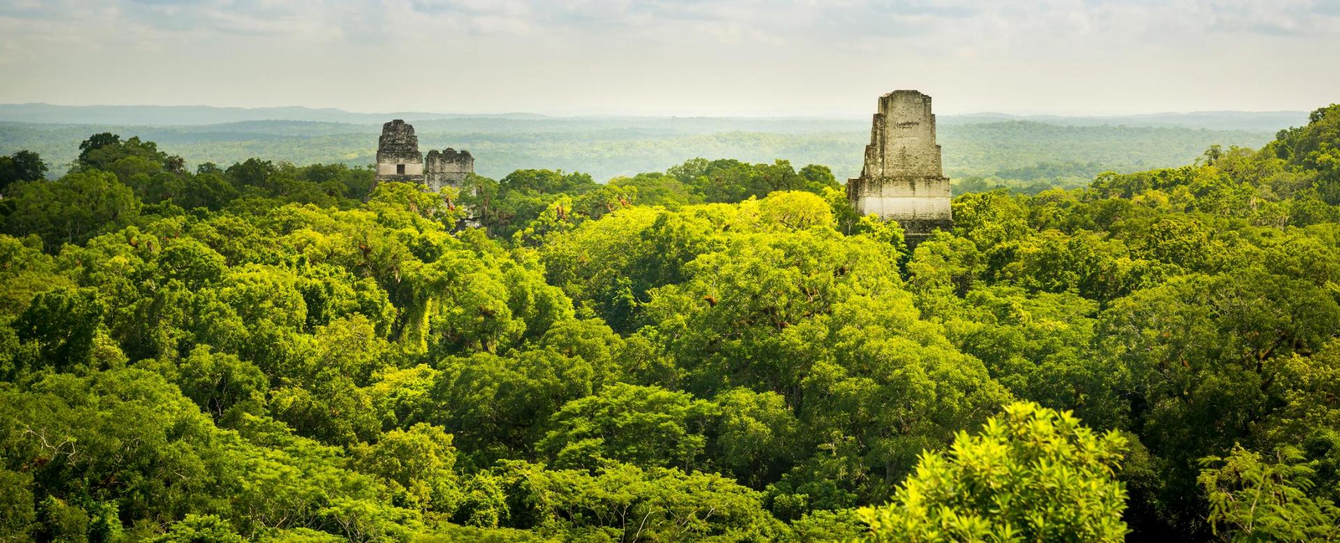 des-volcans-mayas-aux-temples-de-tikal
