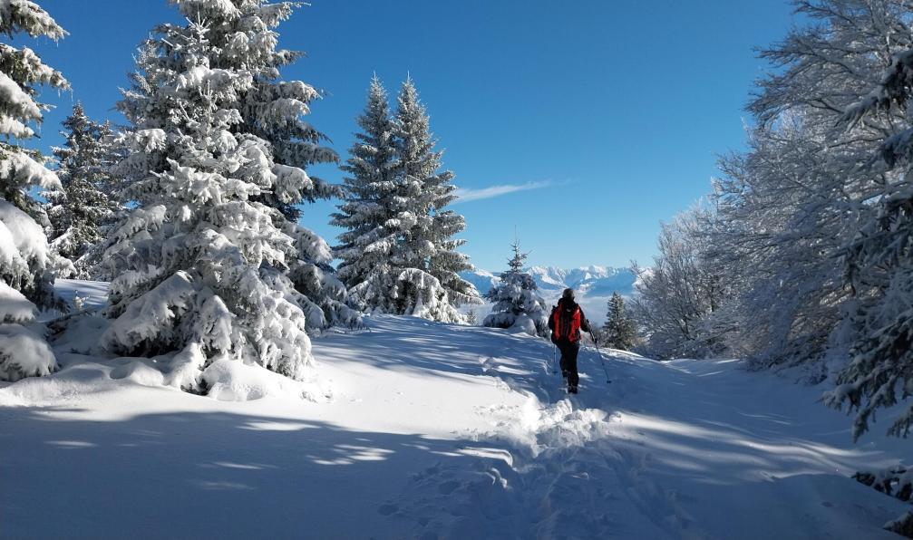 ski dans le grand nord