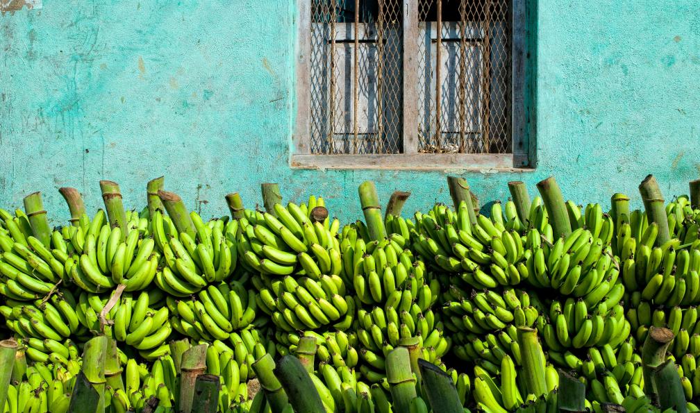 cap-vert-cap-vert-en-famille