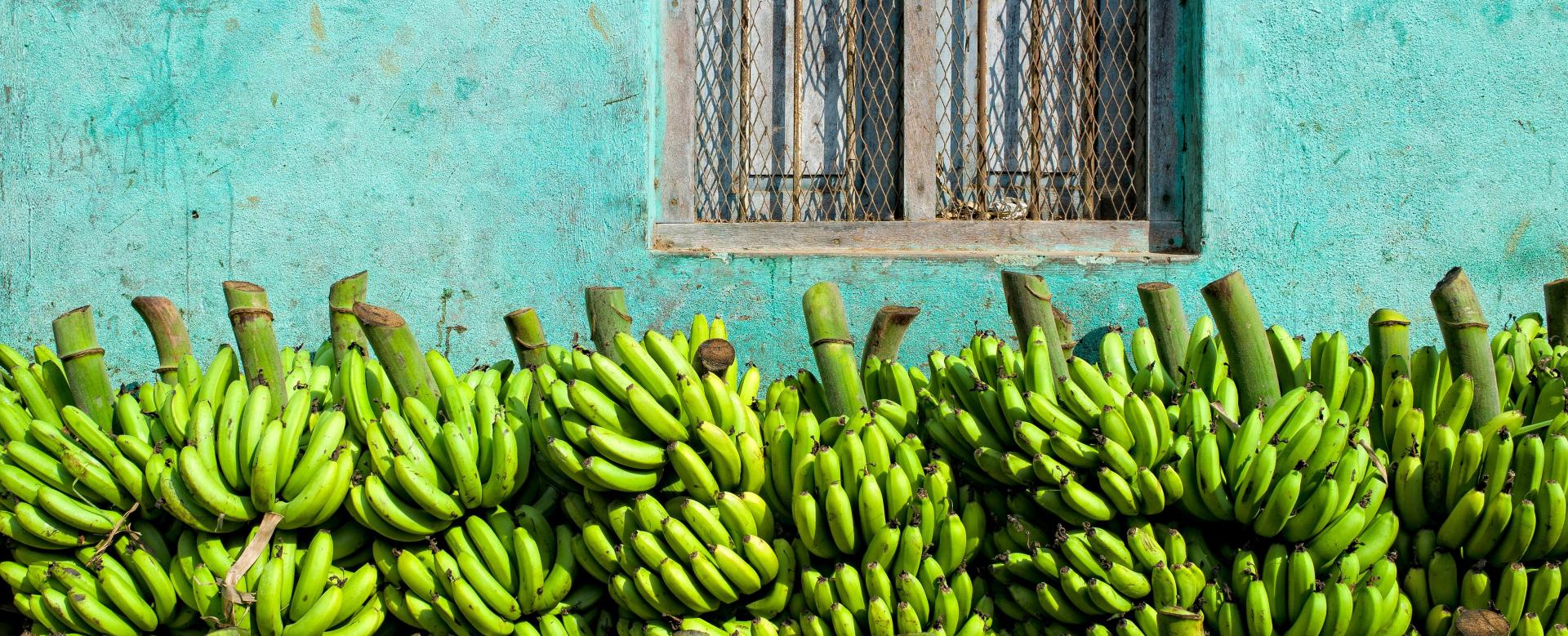 les-petits-explorateurs-du-cabo-verde