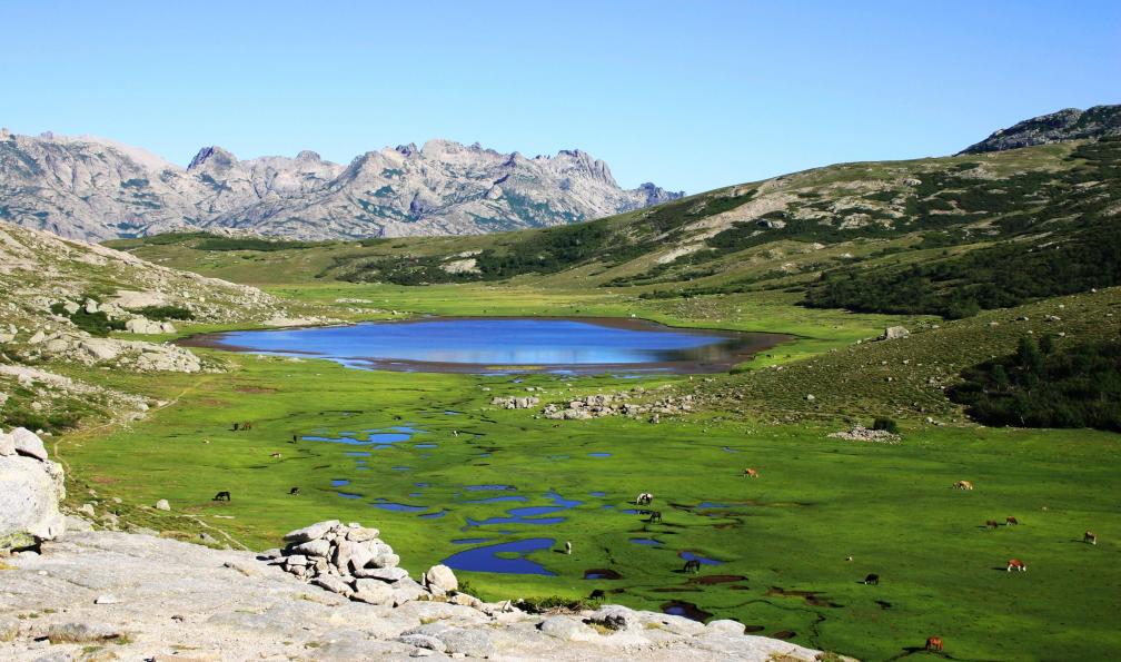 Istock - Lac Nino, Corse. - Découverte du GR20 nord corse-gr-20-nord
