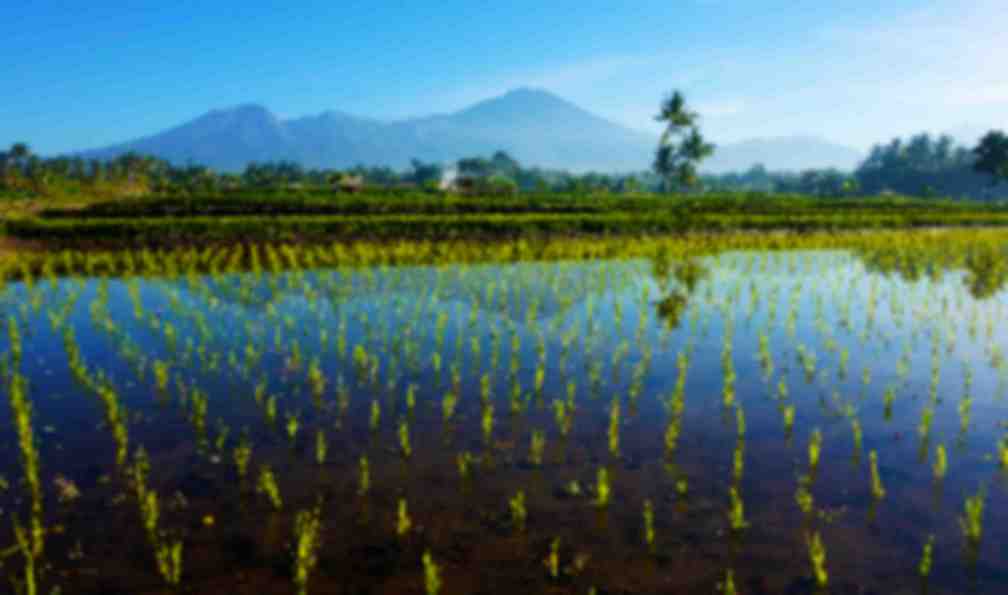 voyage bali