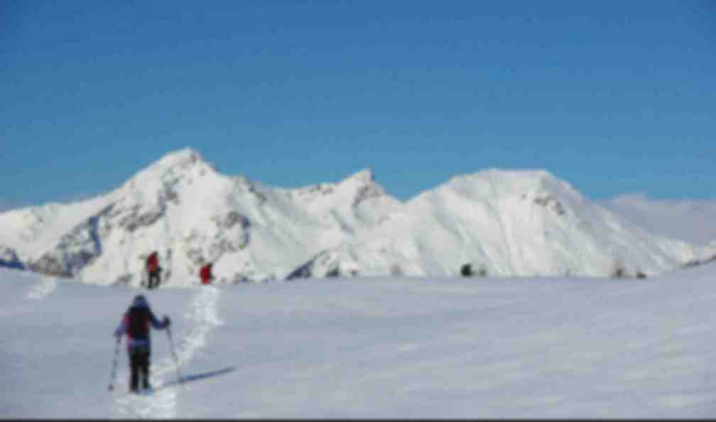 ski dans le grand nord