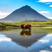 trek açores