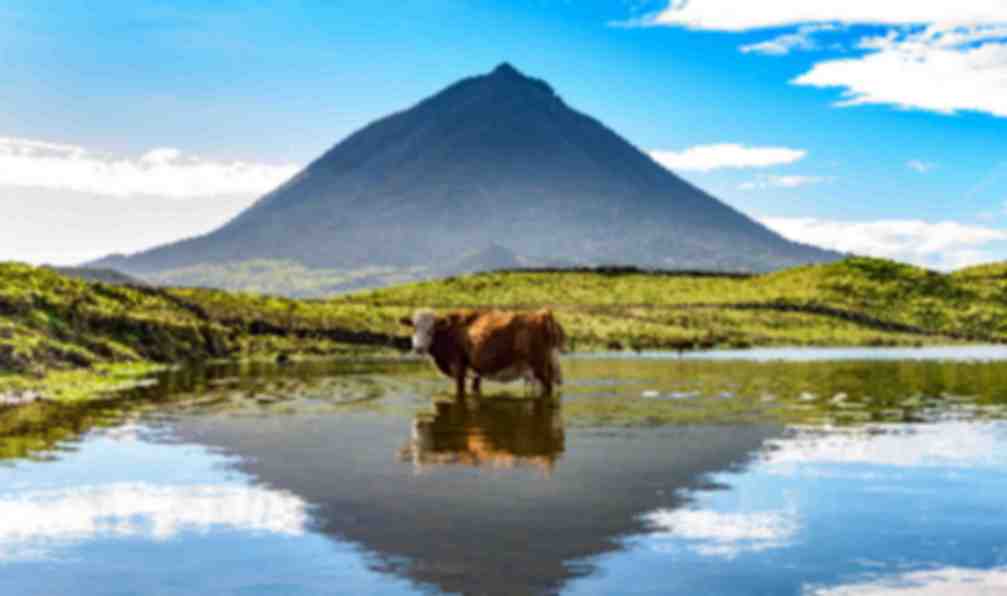 acores-trek-acores