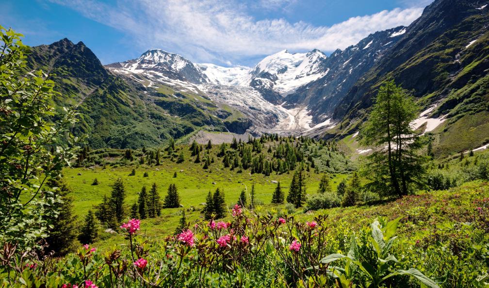 alpes-francaises-rando-chamonix-mont-blanc