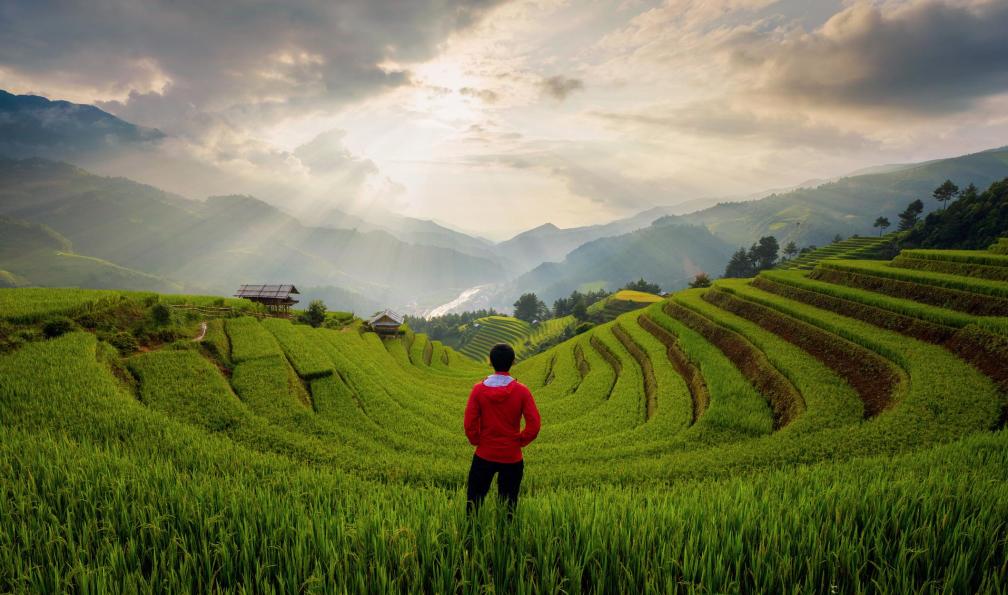 tampatra - Istock - Homme observant les rizières au Viêtnam - Vietnam : treks, randonnées et voyages au Vietnam Vietnam : treks, randonnées et voyages au Vietnam