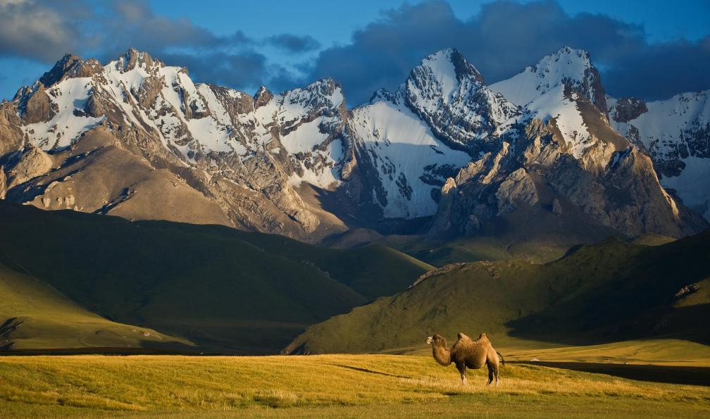 Petrov Andrey - shutterstock - Dromadaire et montagnes au Kirghizstan - Contreforts de la route de la Soie ouzbekistan-circuit-route-de-la-soie