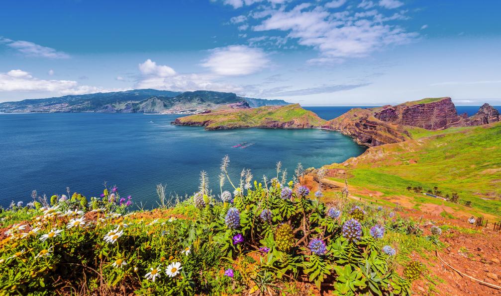 Serenity-H - Adobe Stock - Pointe de Sao Lourenco, Madère - Escapade de charme sur l'île aux fleurs madere-circuit-madere-pas-cher