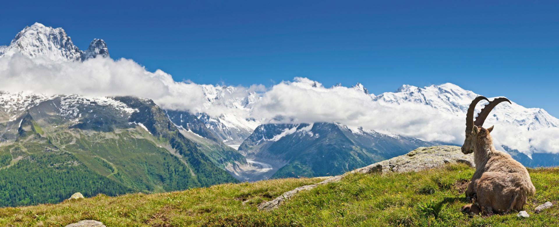 tour-du-mont-blanc-6-jours
