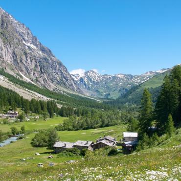 tour du mont blanc avec un ane