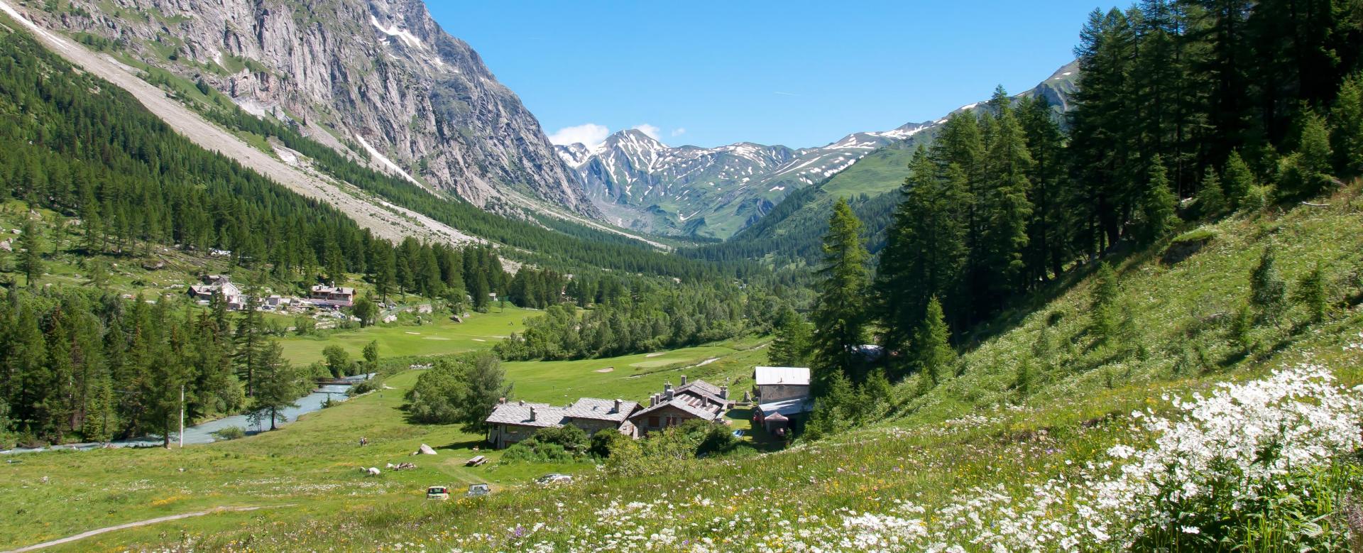 le-tour-du-montblanc-avec-un-ane-nord