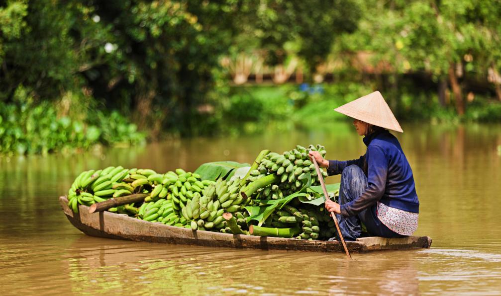 vietnam-ethnie-vietnam