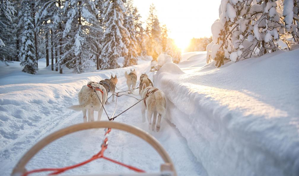 séjours multiactivités dans le grand nord