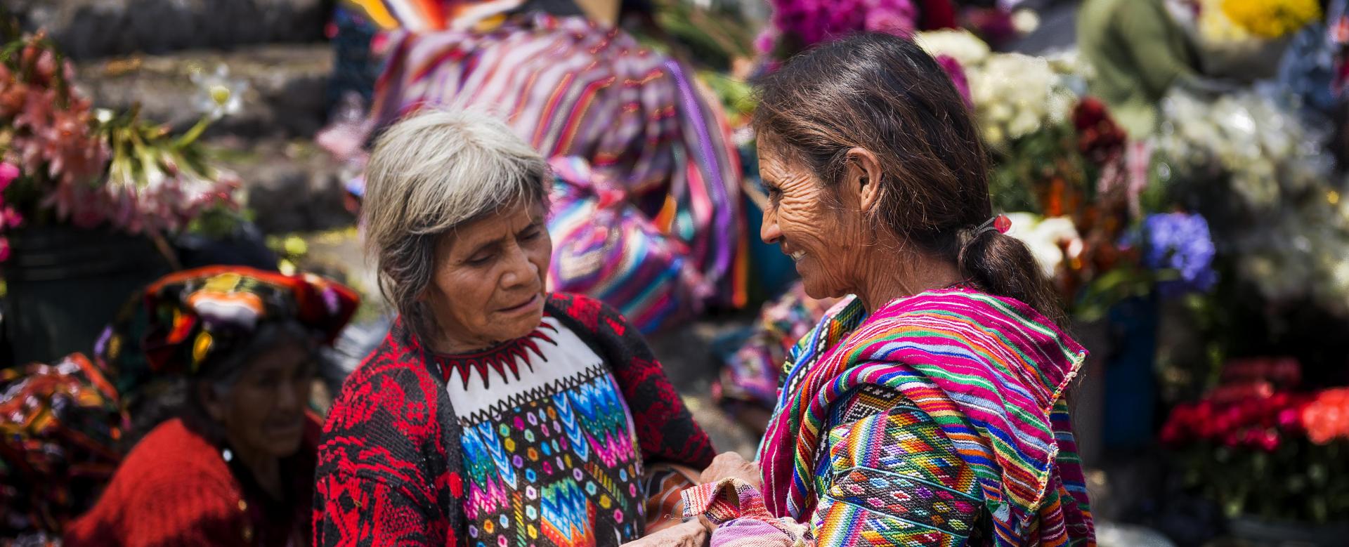 immersion-en-terres-mayas