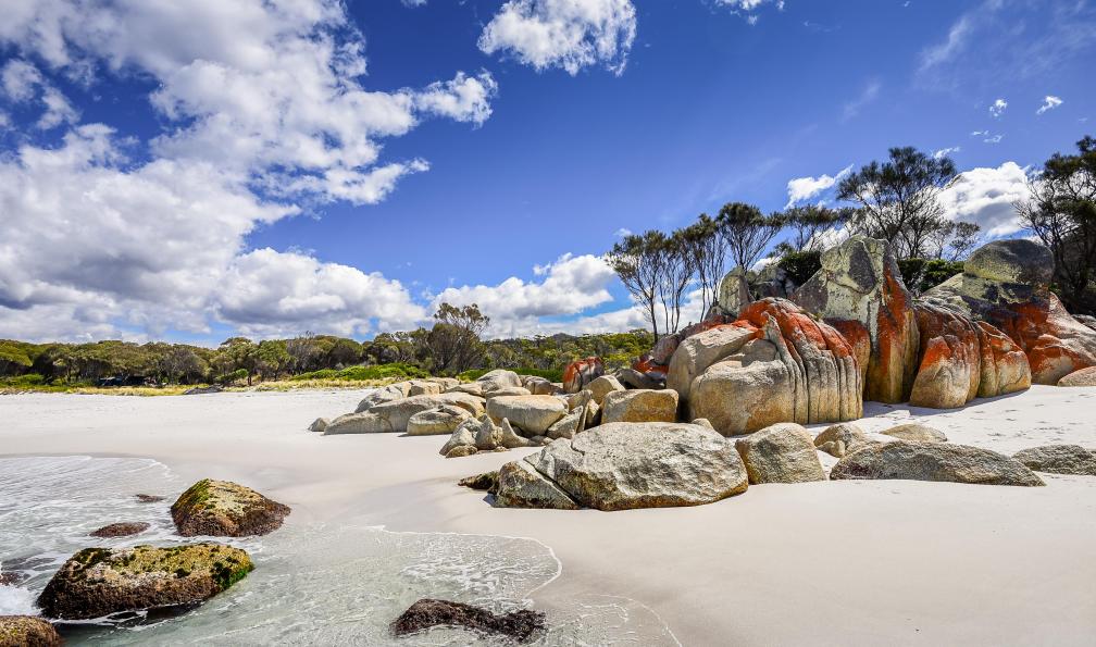 Jastram - Thomas - Adobe stock - Magnifique vue ensoleillée de la côte d'été sur la mer bleue de Tasman avec une eau cristalline entourée de rochers colorés rouge-orange et d'une plage de sable blanc, Baie des Feux, Tasmanie, Australie océanie