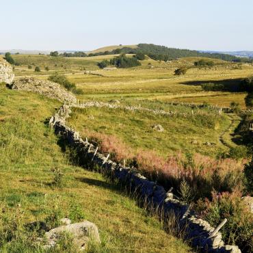 chemin stevenson