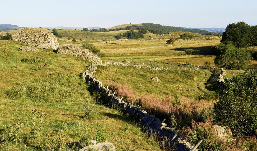 Paysage de l'Aubrac, Aveyron, Cantal, Lozère, Massif central. - Chemin de Stevenson nord : du Velay au Gévaudan massif-central-chemin-stevenson