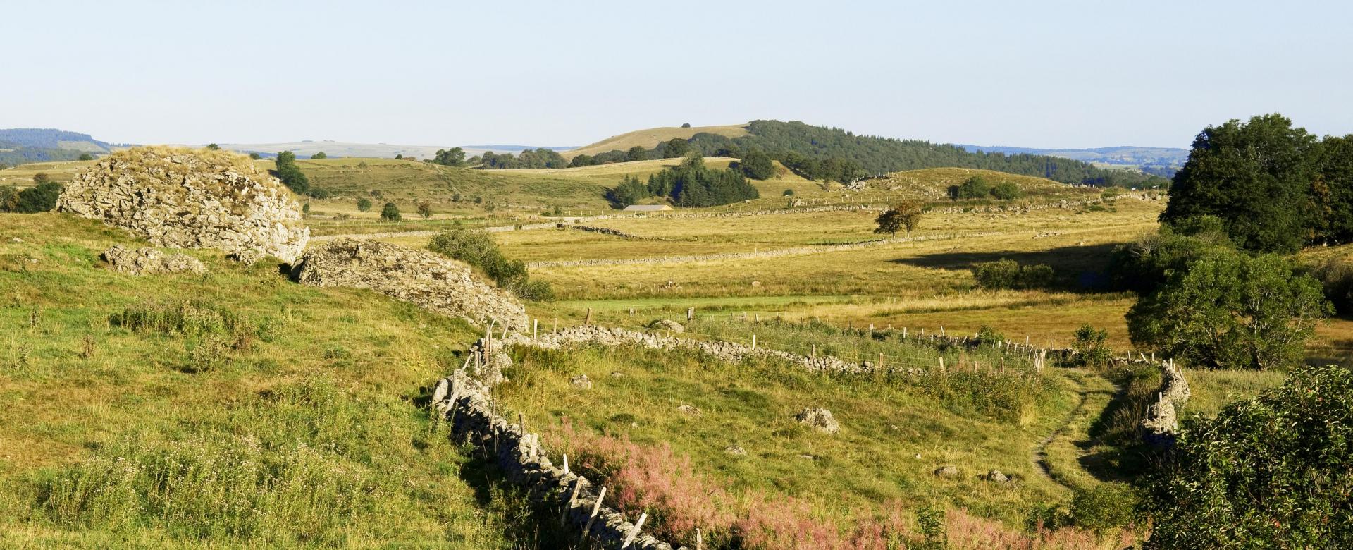 le-chemin-de-stevenson